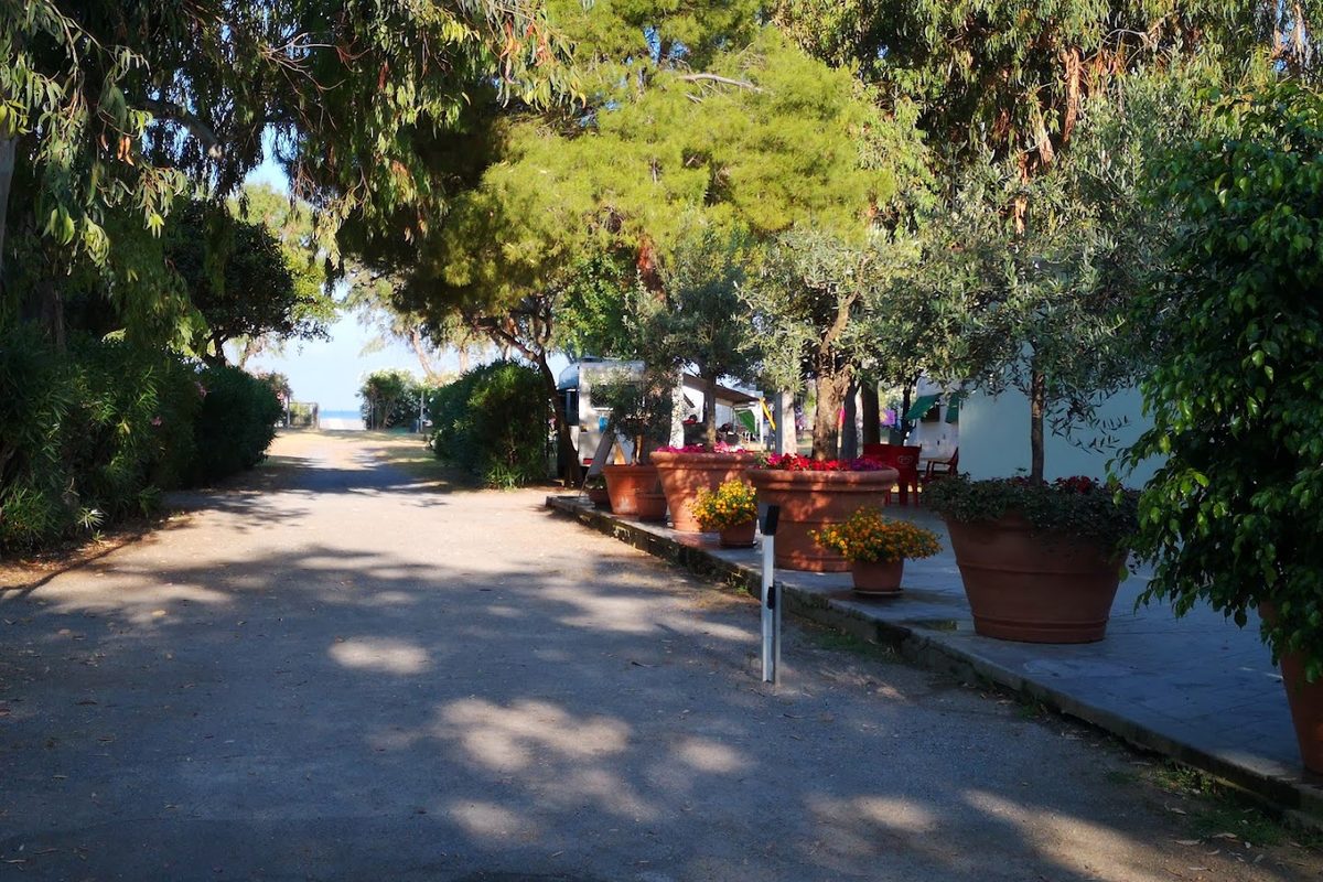 Area Camper Ulisse campsite in Diamante — photo 4