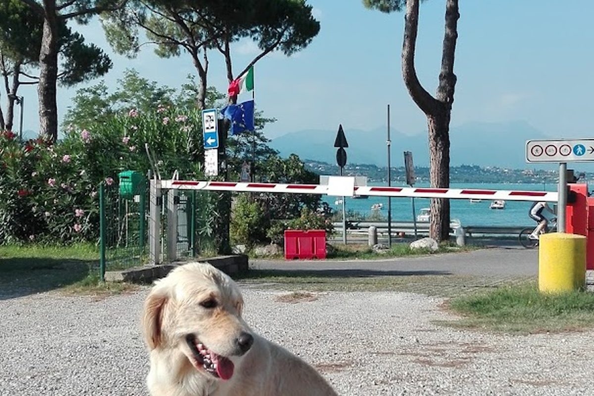 Area sosta camper La Spiaggia campsite in Desenzano del Garda — photo 4