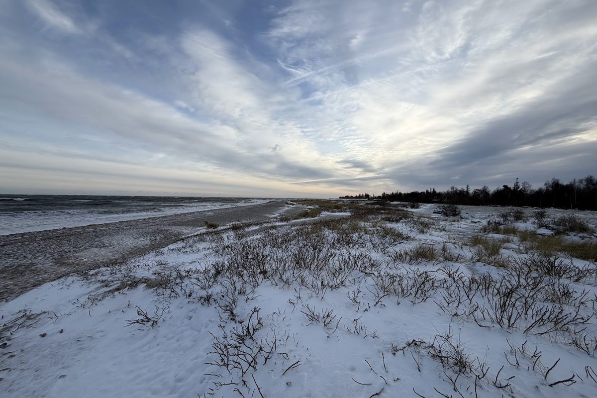 Belt-camping-Fehmarn campsite in Fehmarn — photo 4
