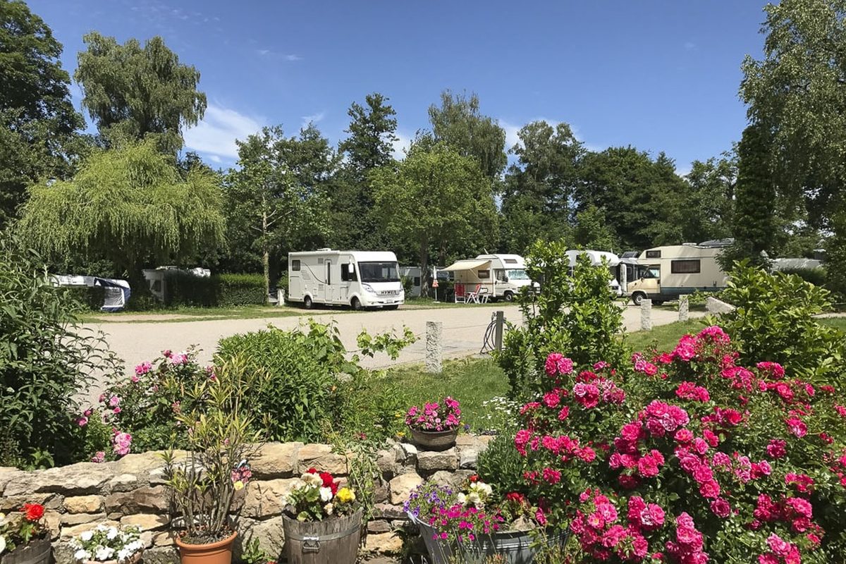 Busses Camping am Möslepark campsite in Freiburg — photo 4