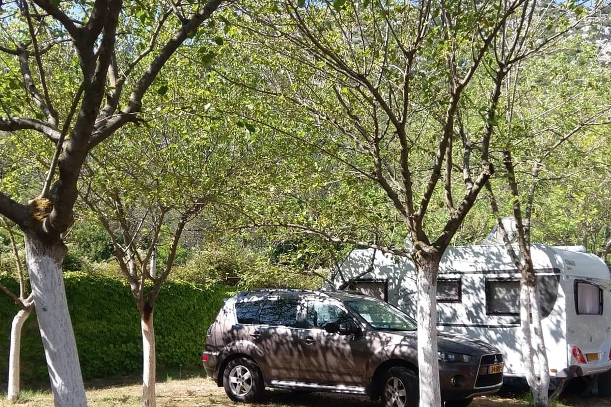 Camp Mungos campsite in Babino Polje — photo 2