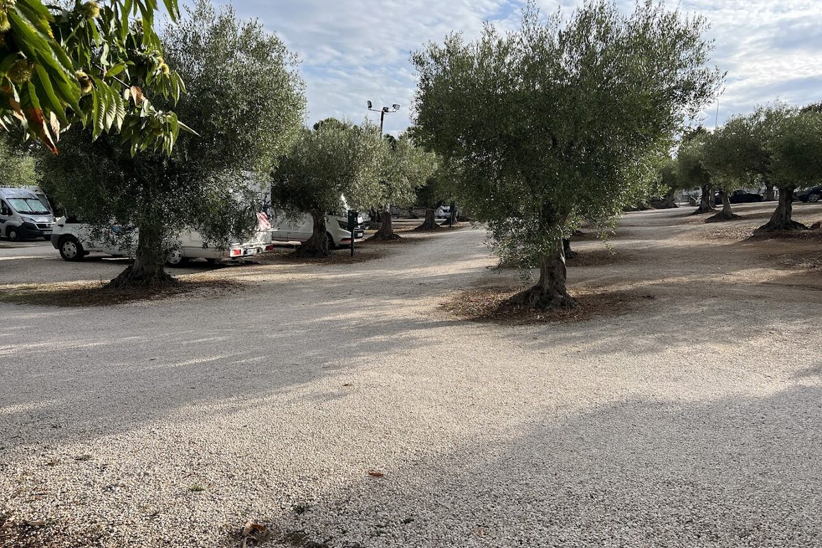 Camper Parking Alberobello campsite in Alberobello — photo 2