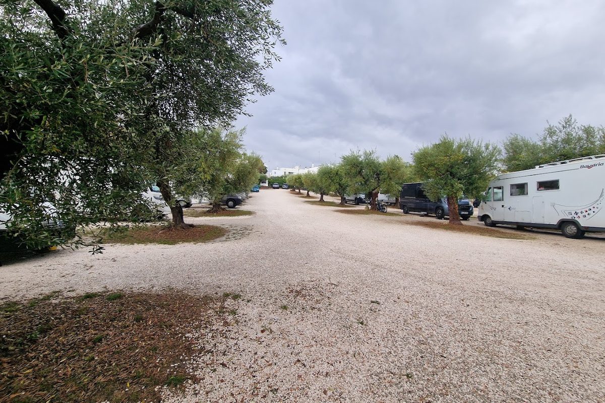 Camper Parking Alberobello campsite in Alberobello — photo 3