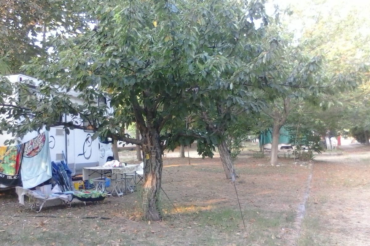 Camping Aegeas campsite in Agiokampos — photo 2