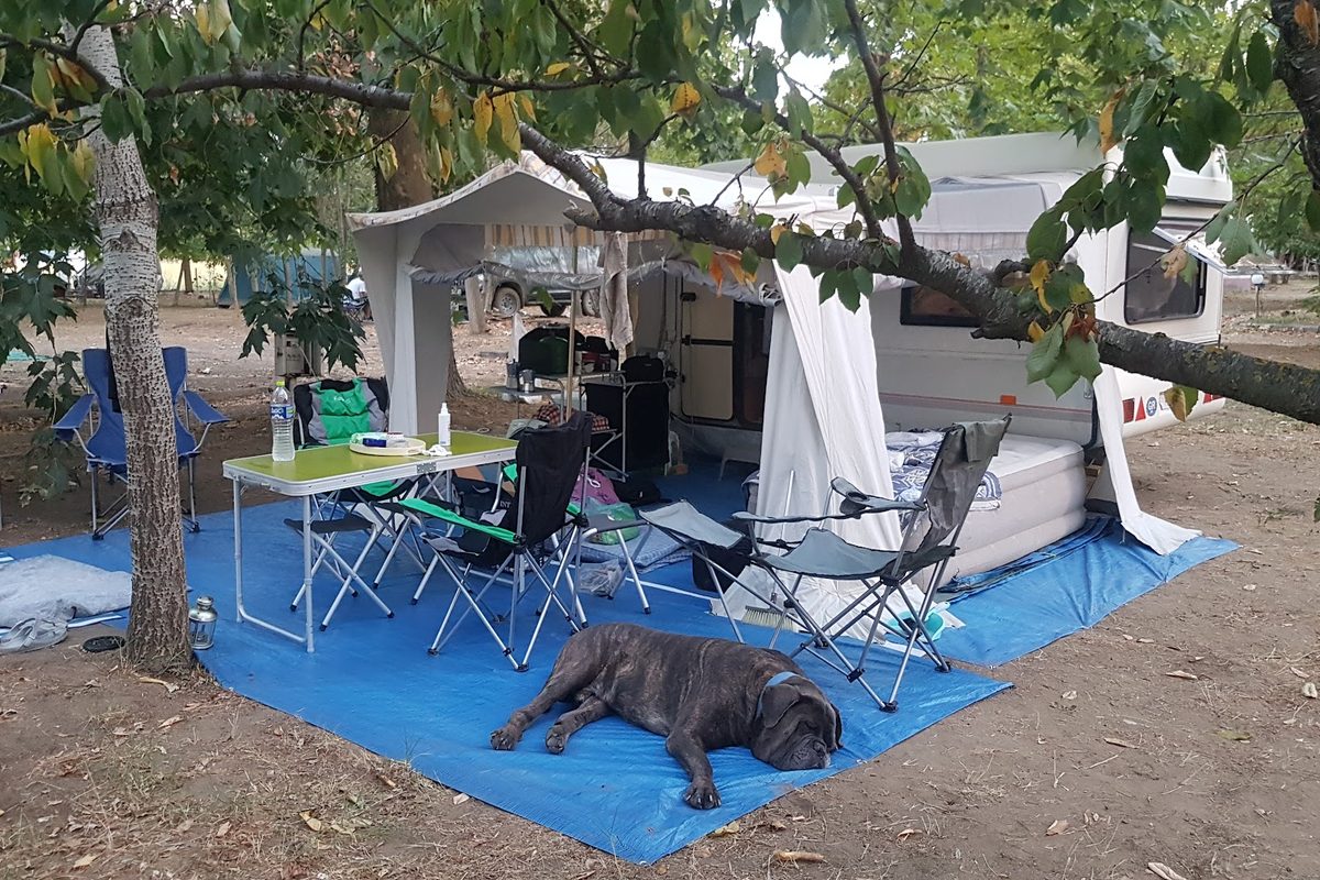 Camping Aegeas campsite in Agiokampos — photo 5