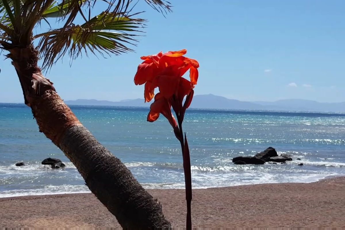 Camping Aginara Beach campsite in Glýfa — photo 2
