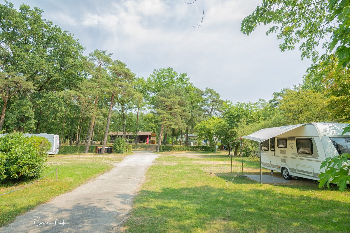 Camping Aller-Leine-Tal campsite in Essel — photo 2