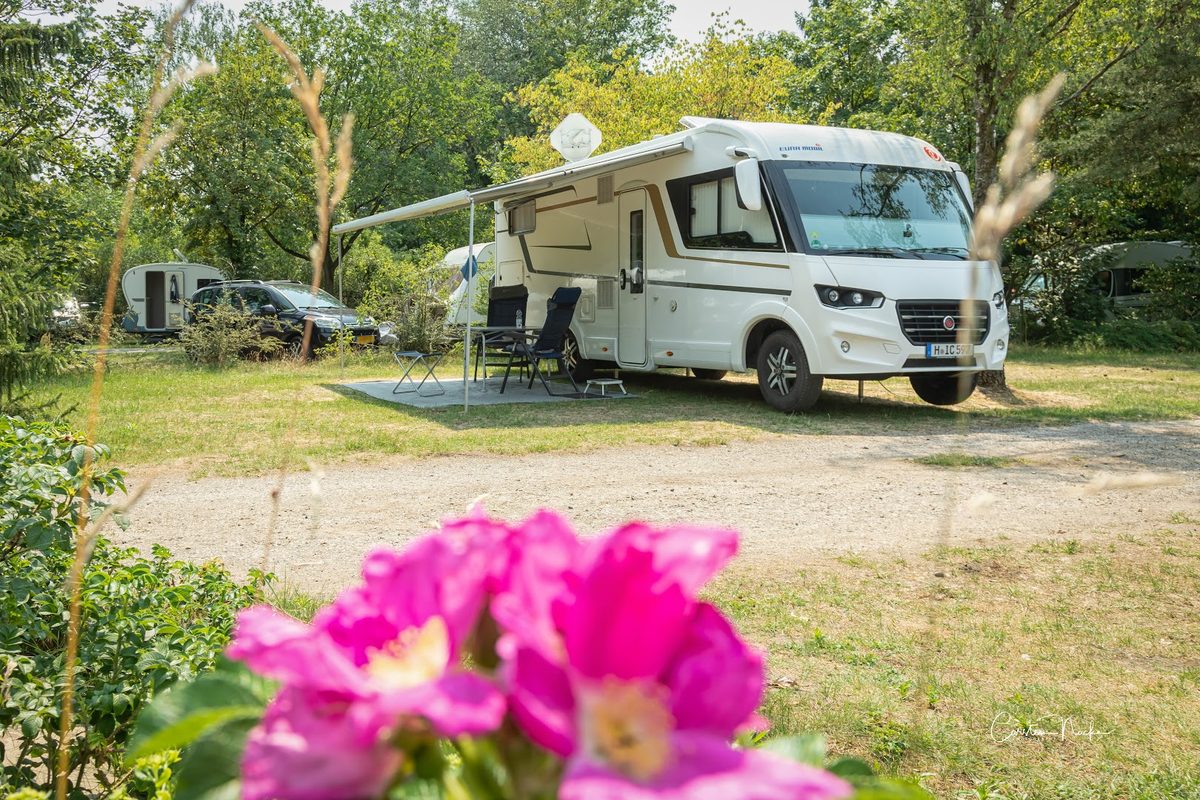 Camping Aller-Leine-Tal campsite in Essel — photo 5