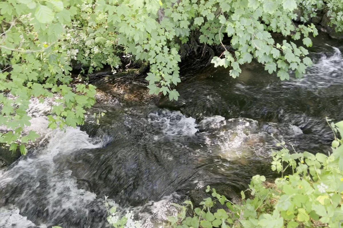 Photo of Camping Alpirsbach
