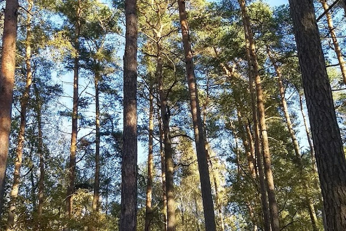 Camping Am Arendsee campsite in Luftkurort Arendsee — photo 4