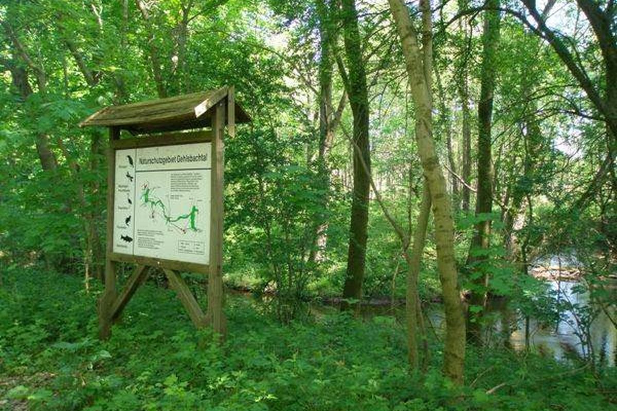 Camping Am Blanksee campsite in Siggelkow — photo 2