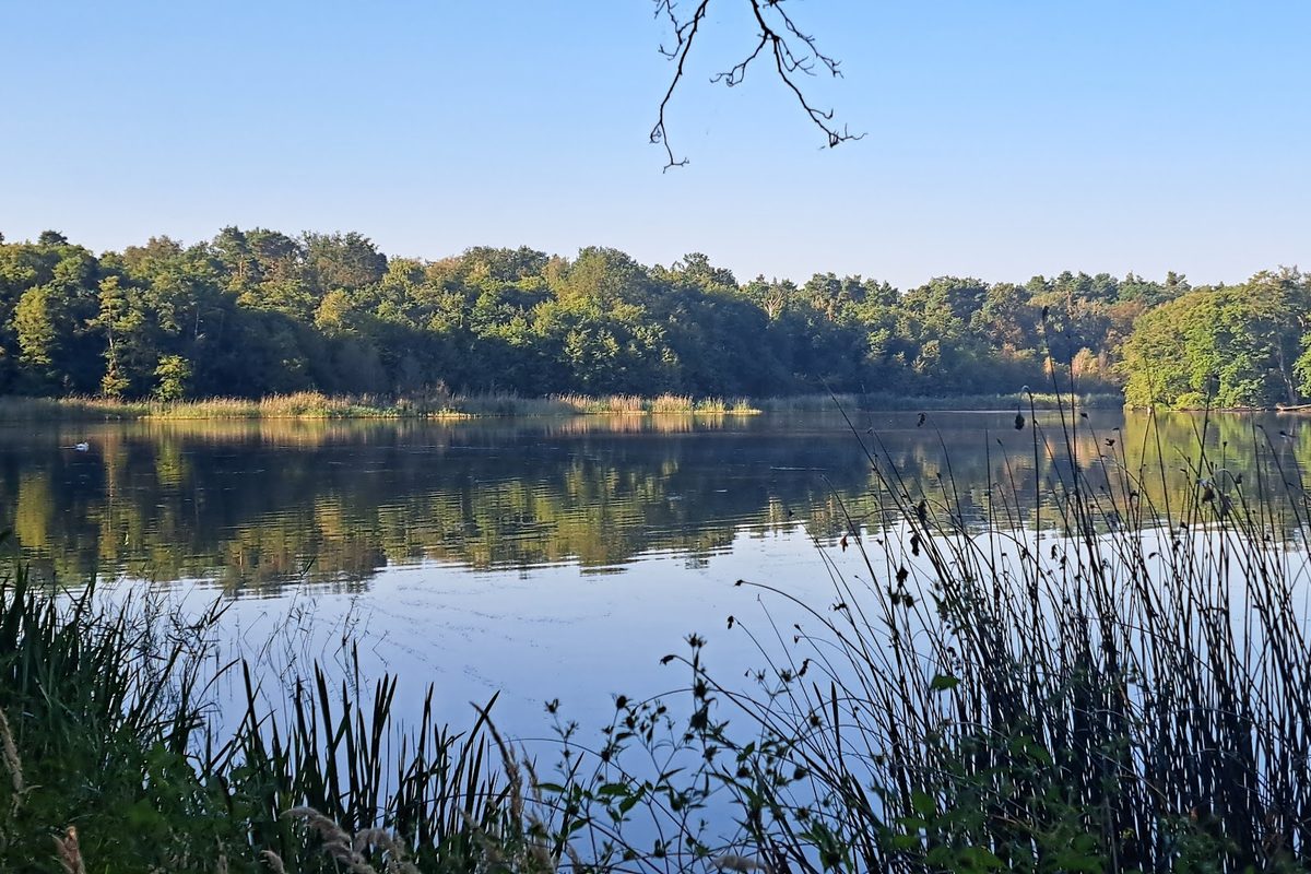 Camping am Großen Lausiger Teich campsite in Bad Schmiedeberg — photo 2