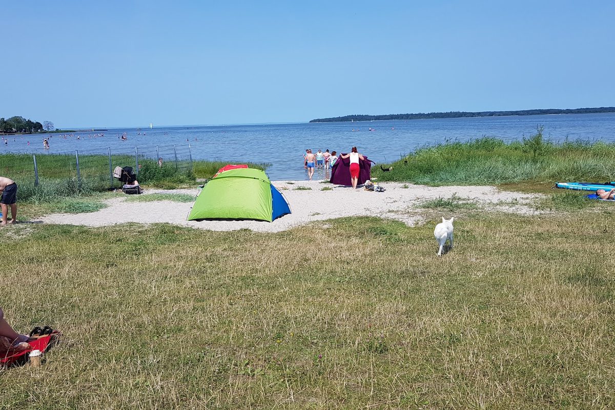 Camping an der Dänischen Wiek campsite in Eldena — photo 3