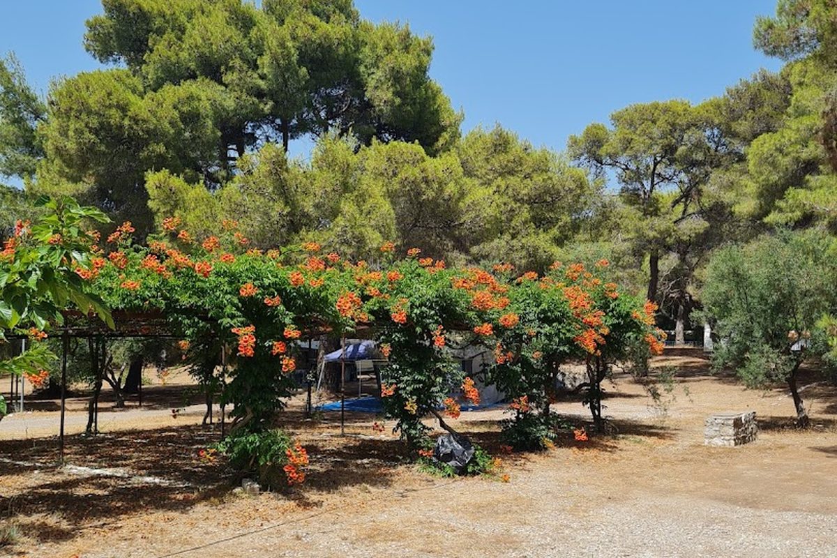 Camping Apollo Village campsite in Yiannitsokhórion — photo 4