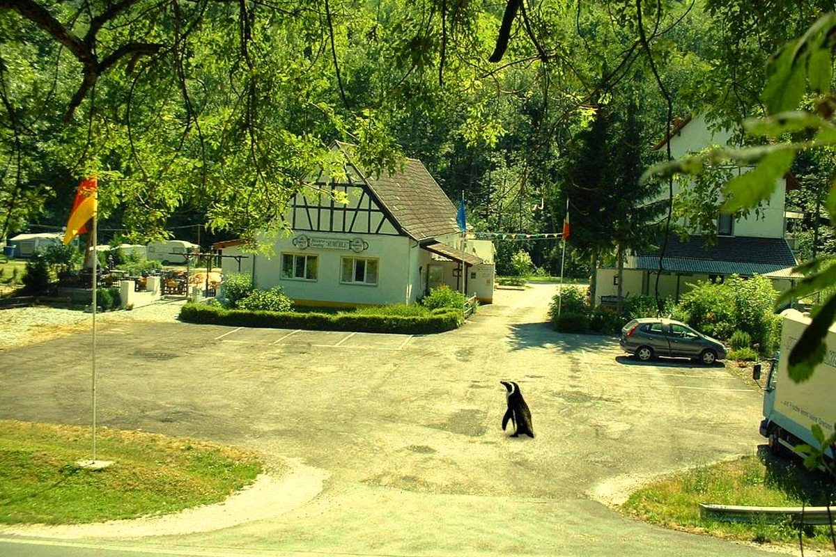 Camping Aumühle campsite in Schweppenhausen — photo 3