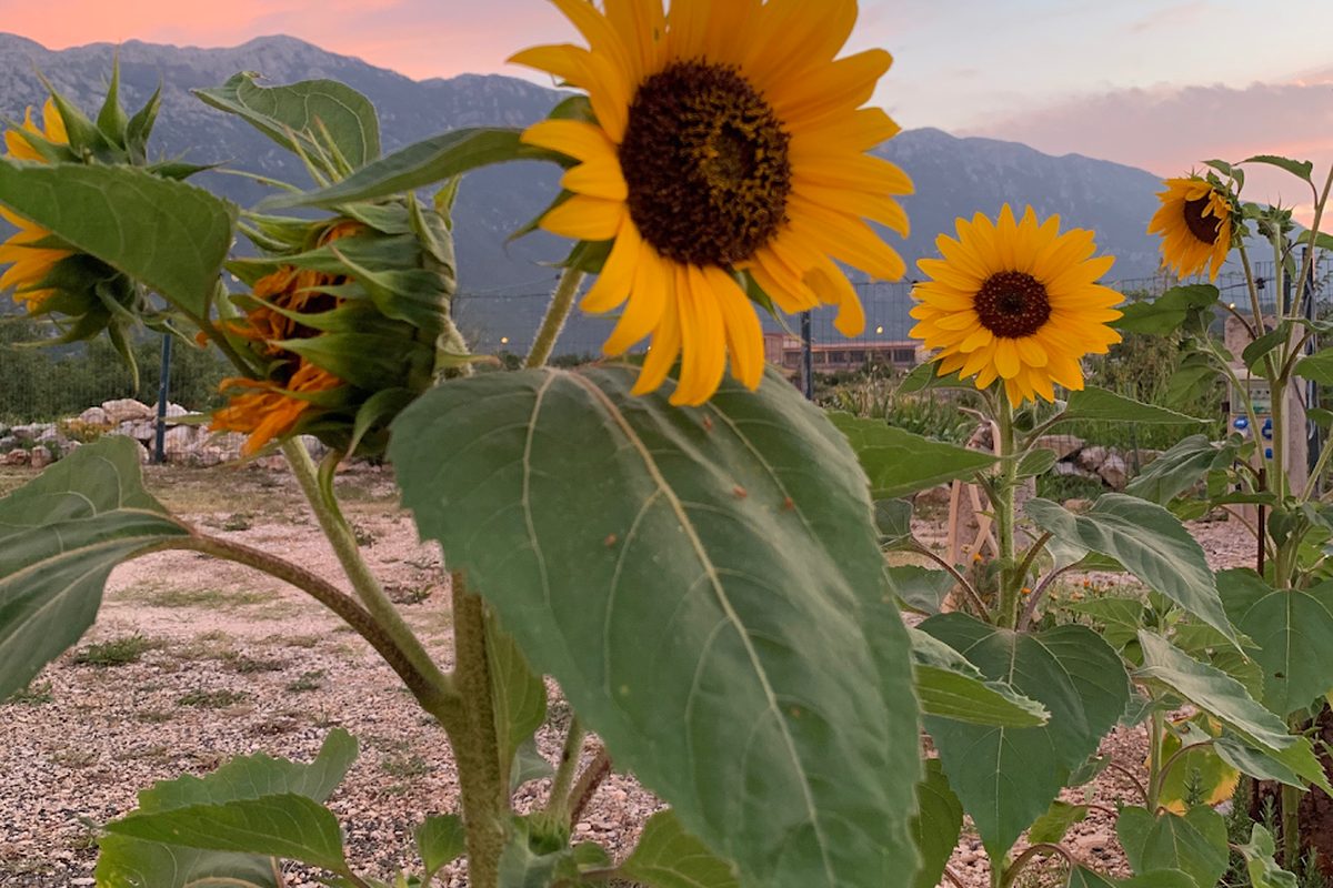 Photo of Camping Autocamp Biokovo