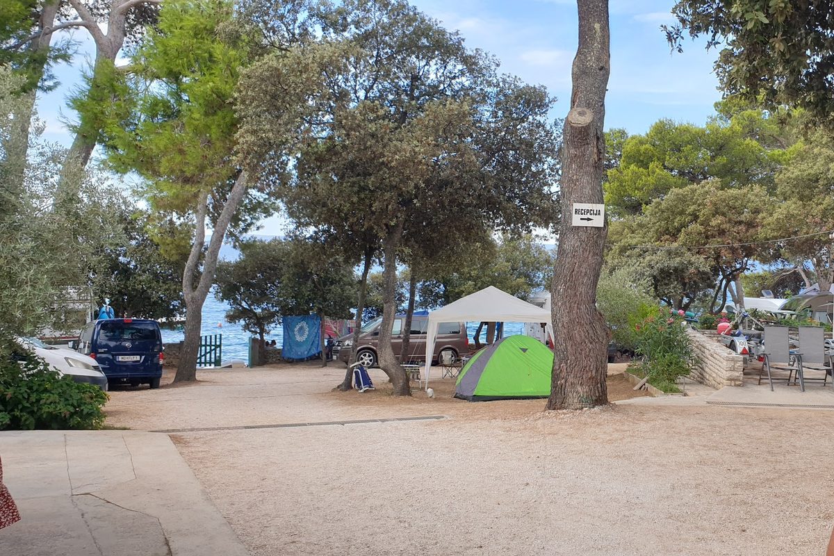 Camping Autocamp Pineta campsite in Petrcane — photo 4