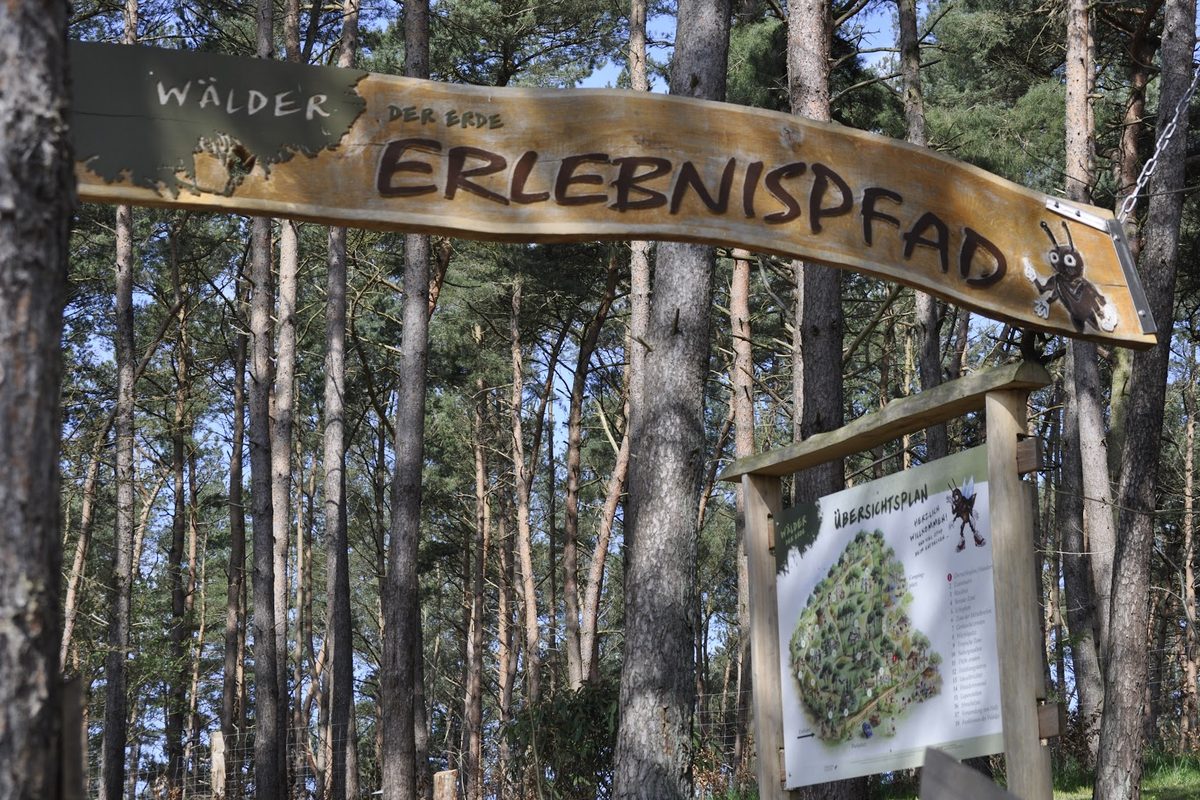 Camping Banzelvitzer Berge campsite in Rappin — photo 4