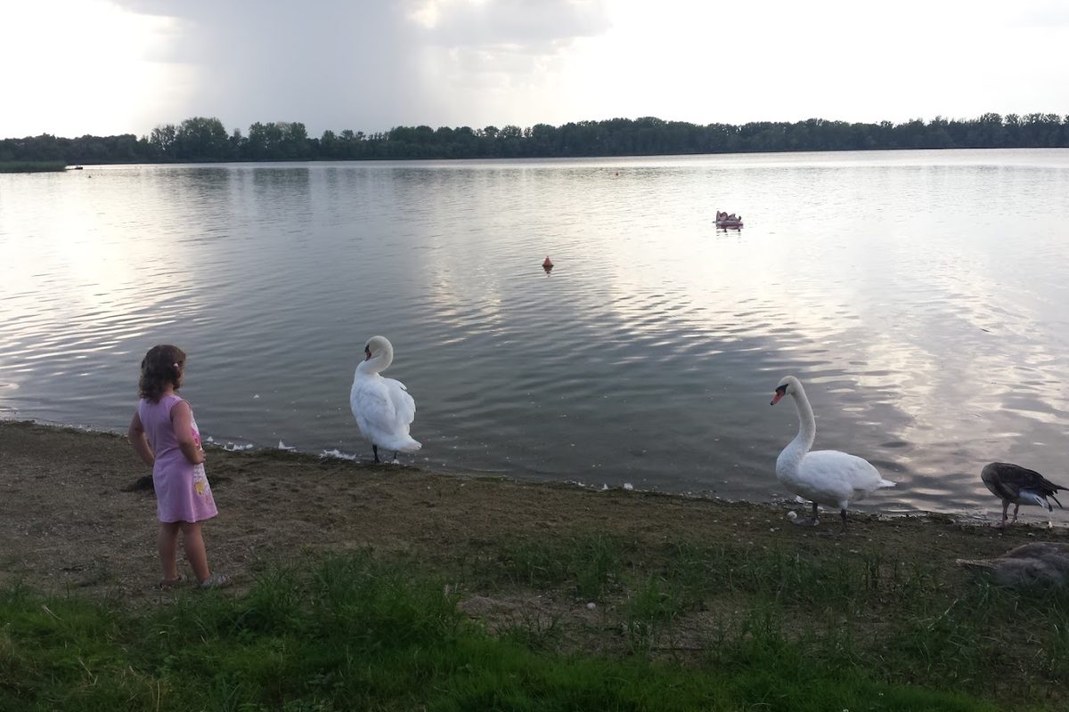Camping Barleber See campsite in Magdeburg — photo 5