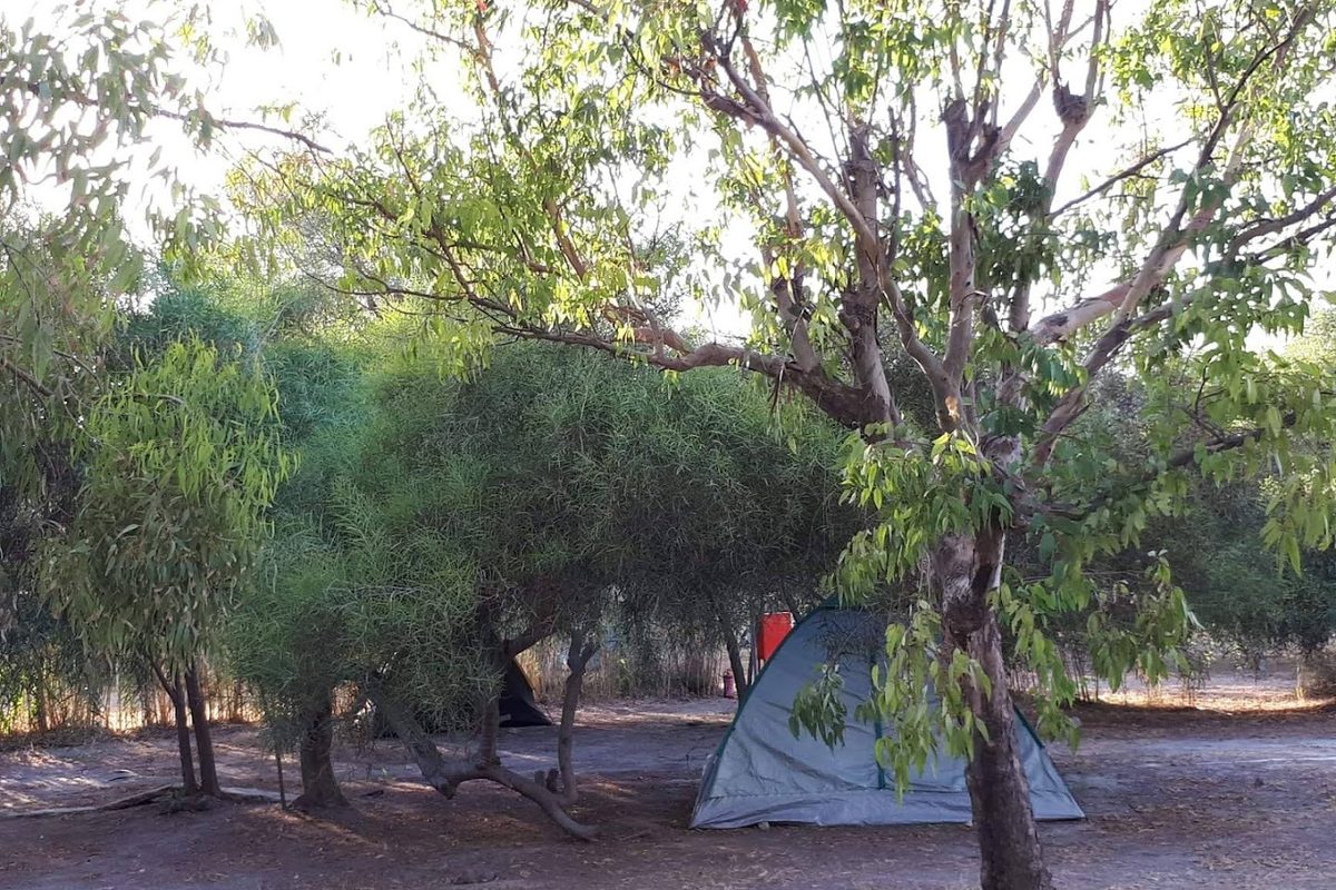 Camping Blue Aura campsite in Naoussa — photo 2