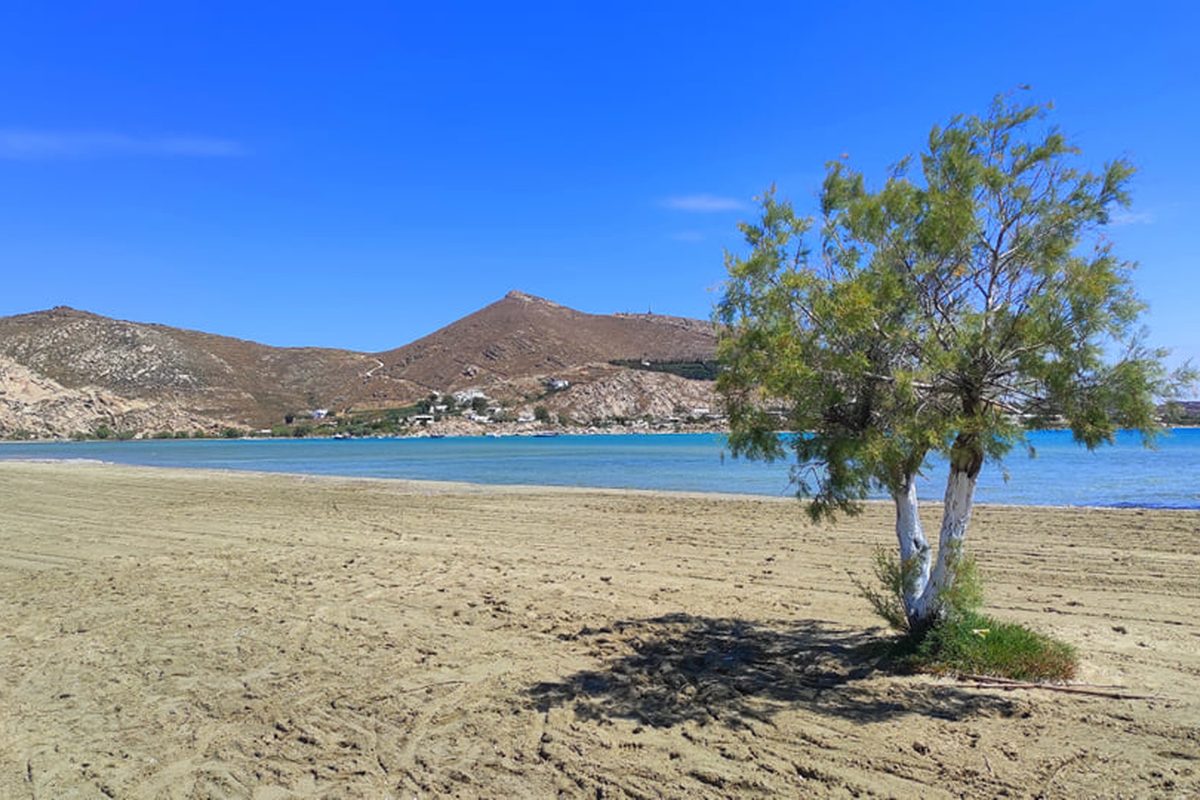 Camping Blue Aura campsite in Naoussa — photo 4
