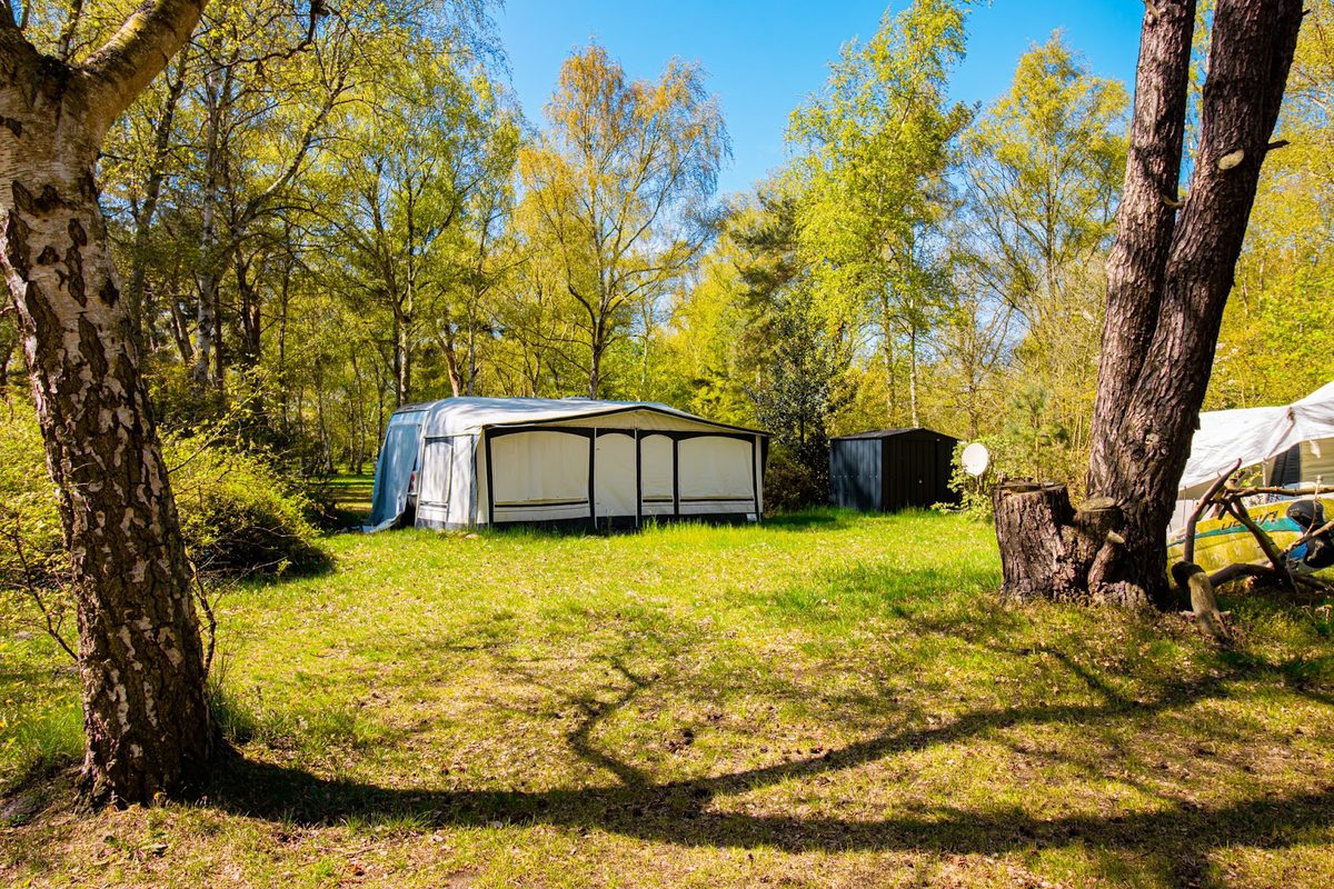 Camping Born - Regenbogen campsite in Born — photo 4