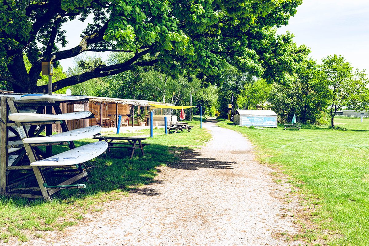Camping Born - Regenbogen campsite in Born — photo 5