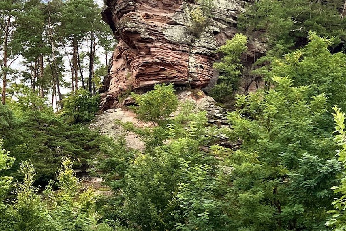 Camping Büttelwoog campsite in Dahn — photo 3