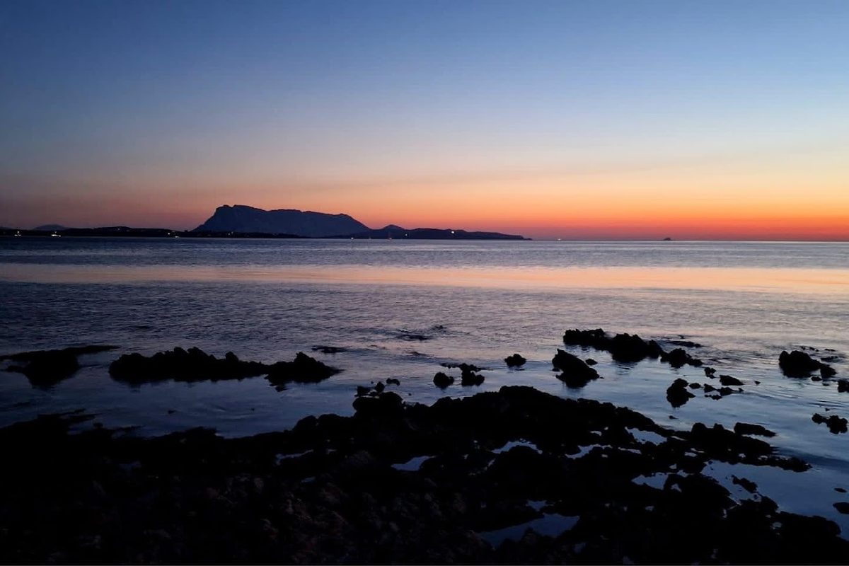 Camping Cala D’Ambra campsite in San Teodoro — photo 4