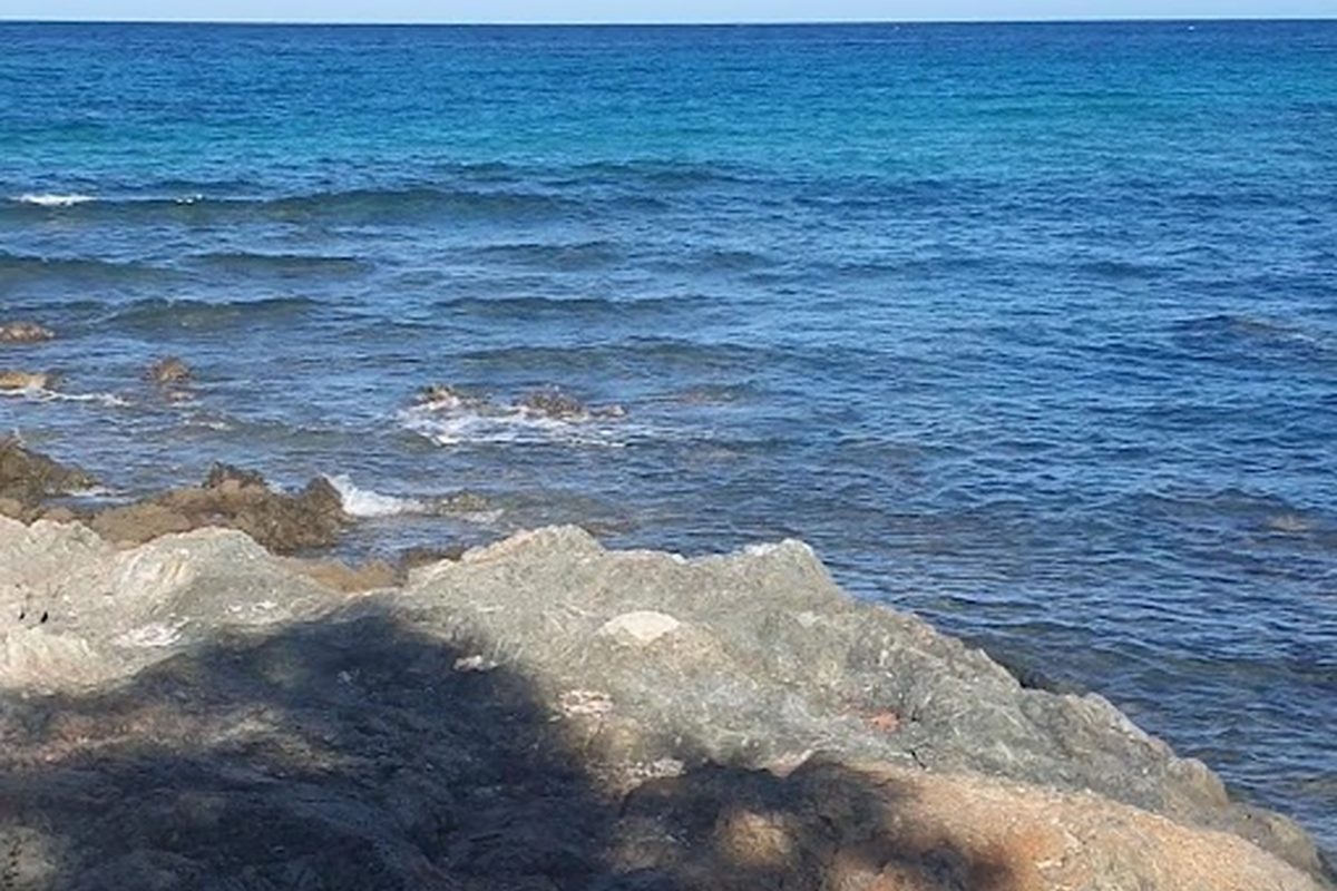Camping Cala D’Ambra campsite in San Teodoro — photo 5