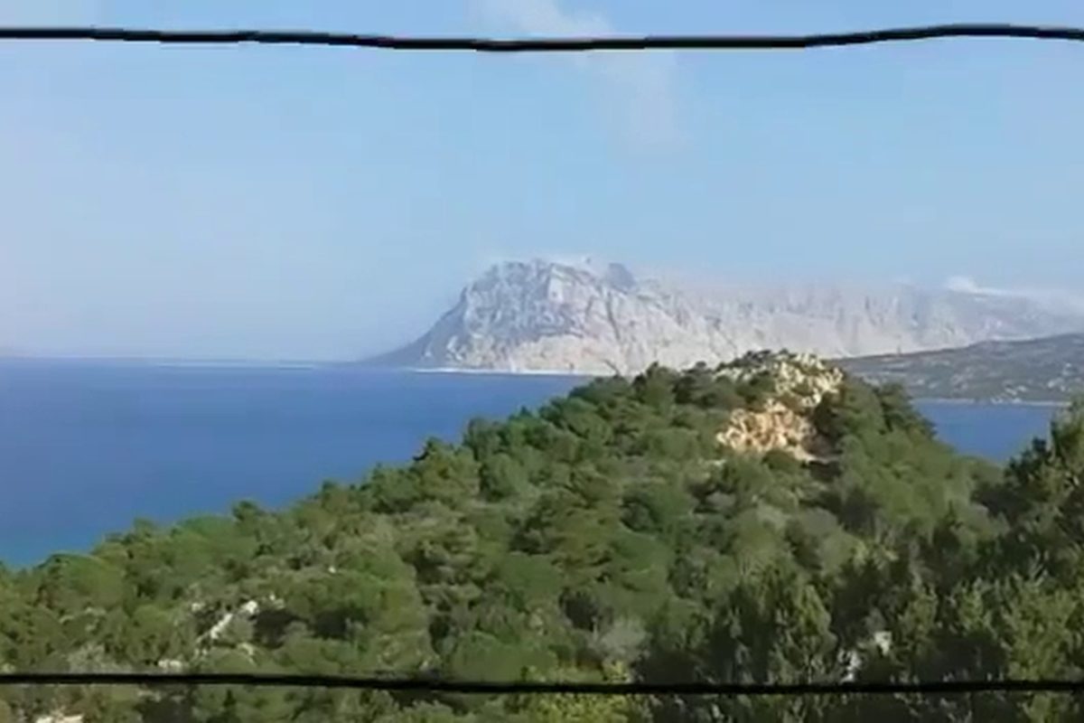 Camping Calacavallo campsite in San Teodoro — photo 3