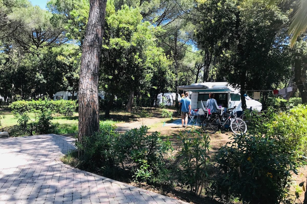 Camping Campo Dei Fiori campsite in Vada — photo 3