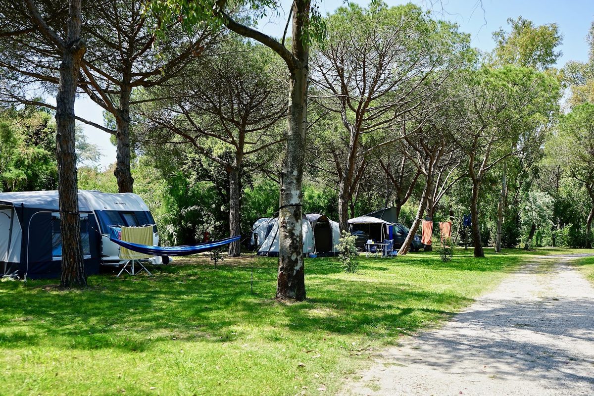 Camping Campo Dei Fiori campsite in Vada — photo 4