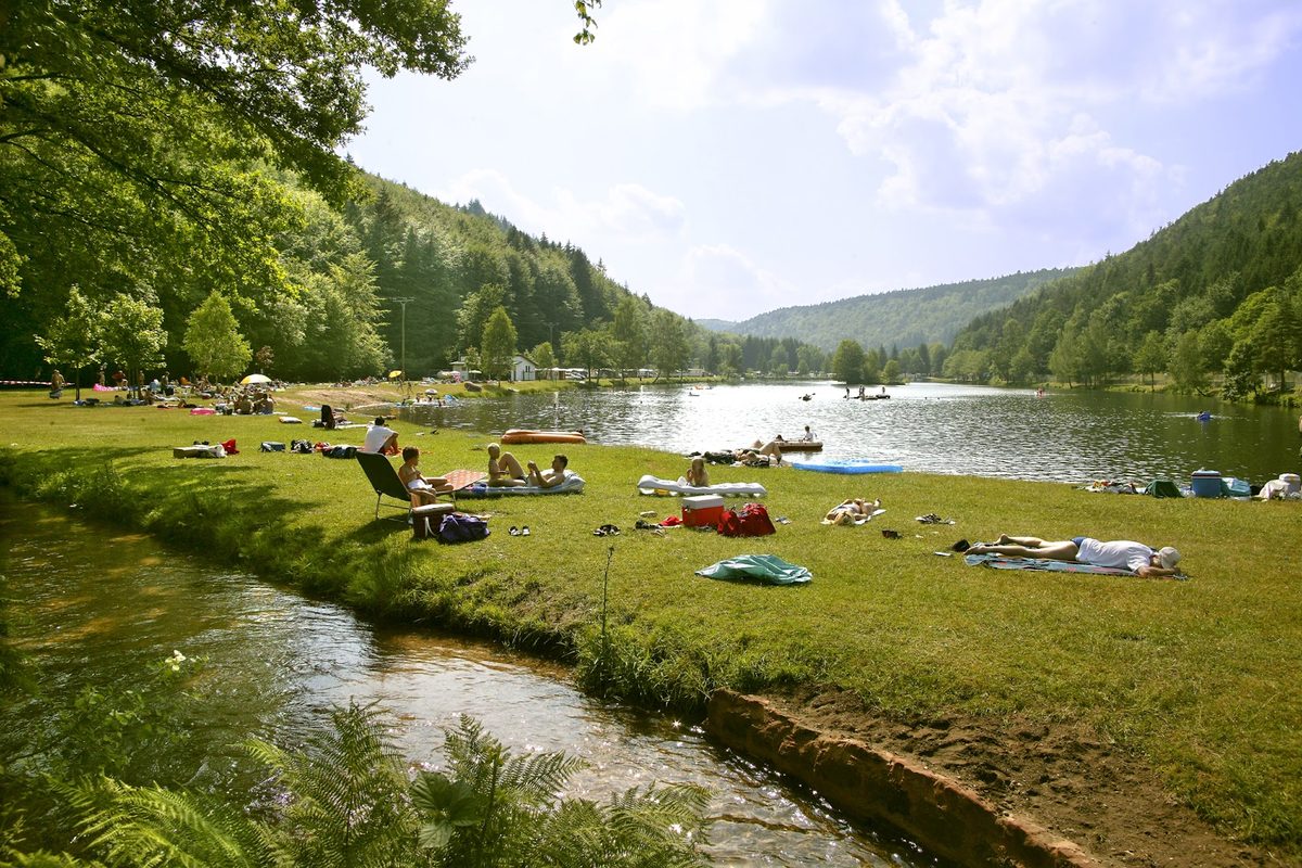 Camping Clausensee campsite in Waldfischbach-Burgalben — photo 4