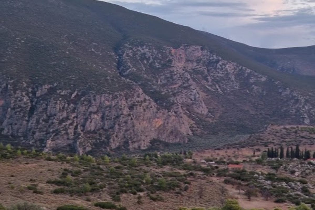 Camping Delphi campsite in Delphi — photo 2