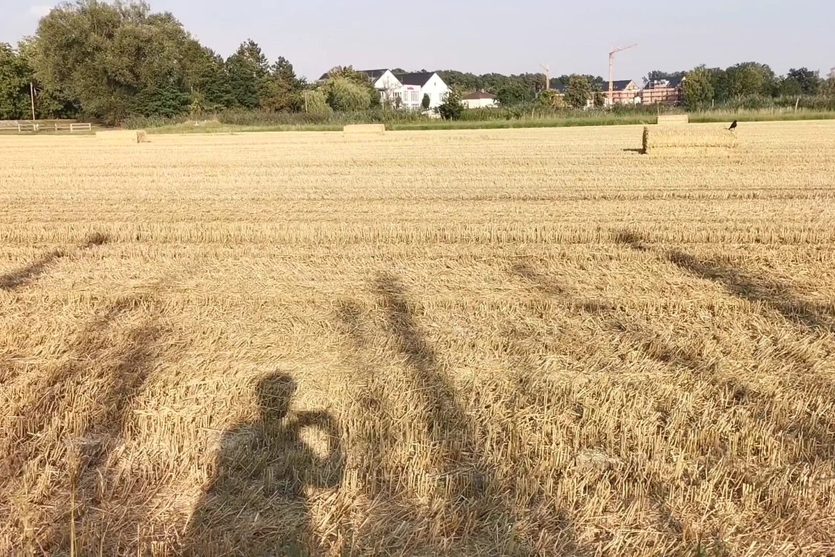 Photo of Camping Felbermühle