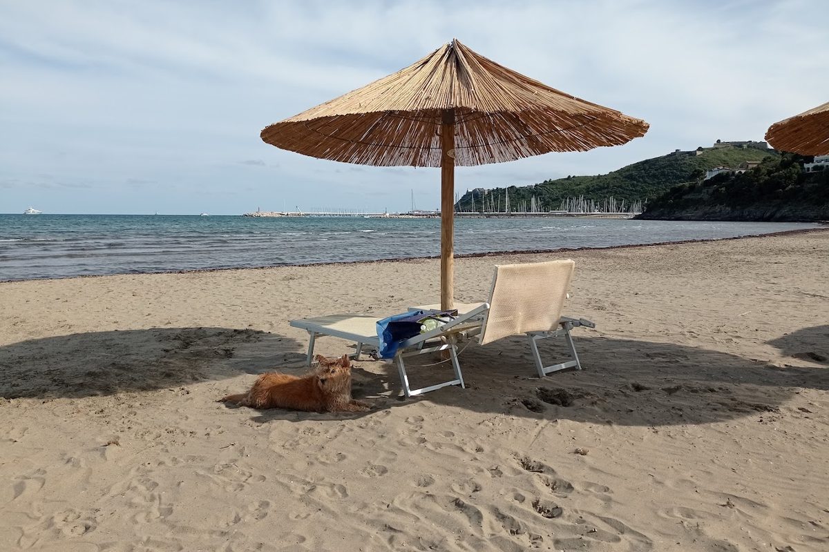 Camping Feniglia campsite in Porto Ercole — photo 3
