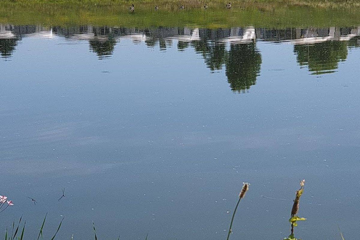Camping Grav-Insel campsite in Wesel — photo 5