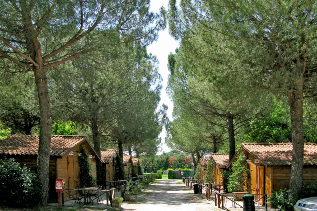 Camping Green Village Assisi campsite in Assisi — photo 3