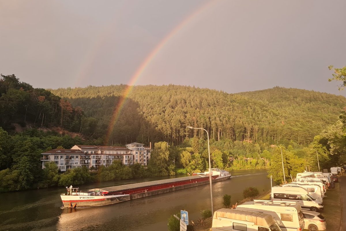 Camping Heidelberg campsite in Heidelberg — photo 3