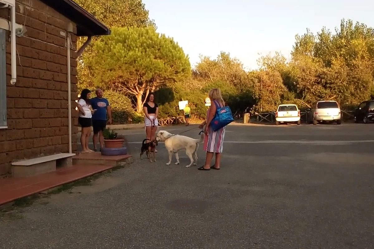 Camping Internazionale Di Castelfusano campsite in Rome — photo 4