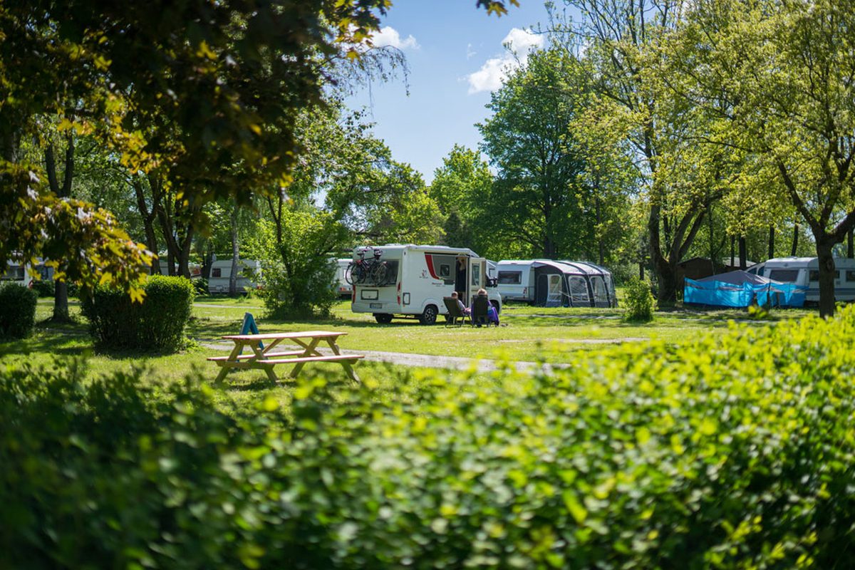 Camping Juliusplate campsite in Berne — photo 4