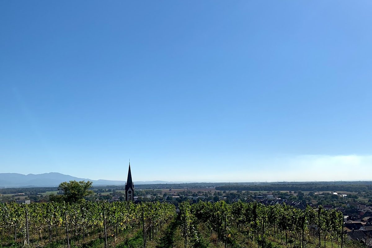 Camping Kaiserstuhl campsite in Ihringen — photo 4