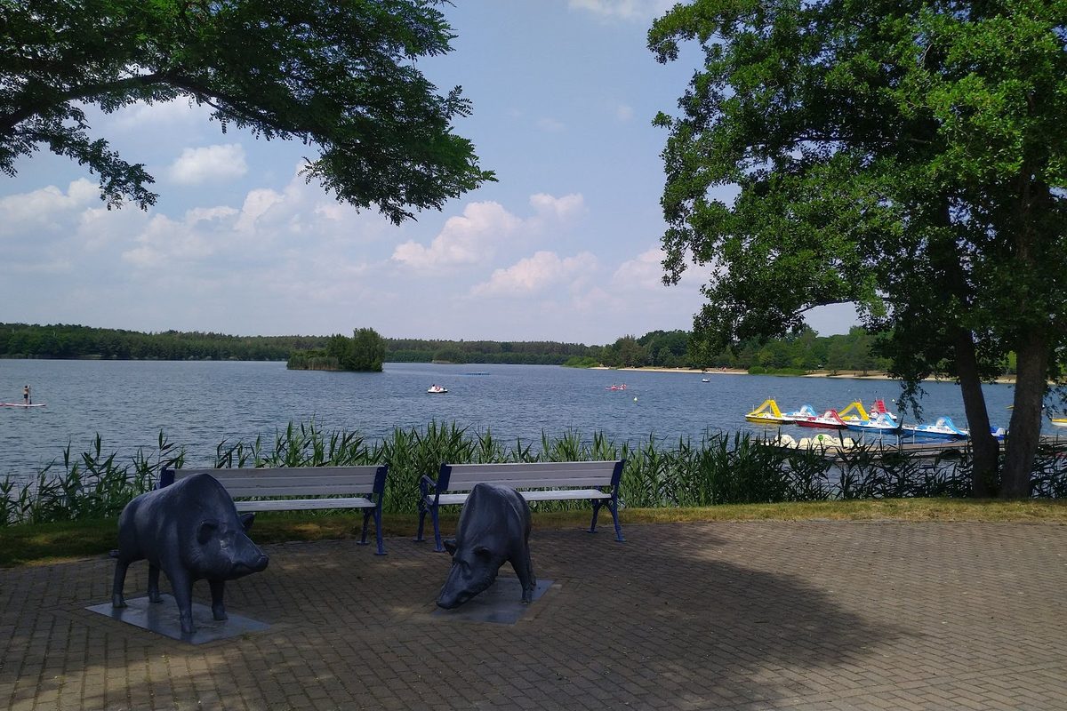 Camping Kiebitz campsite in Falkenberg — photo 4
