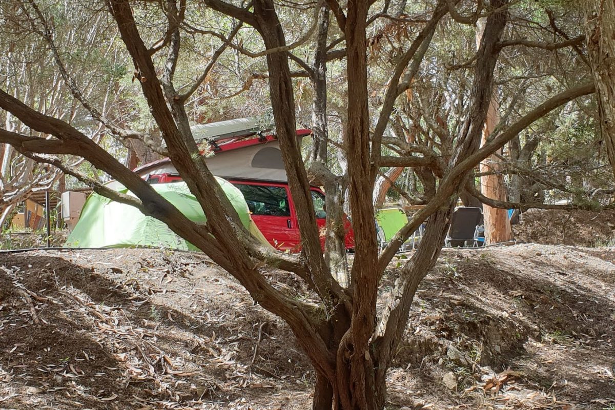 Camping La Liccia campsite in Santa Teresa Gallura — photo 4