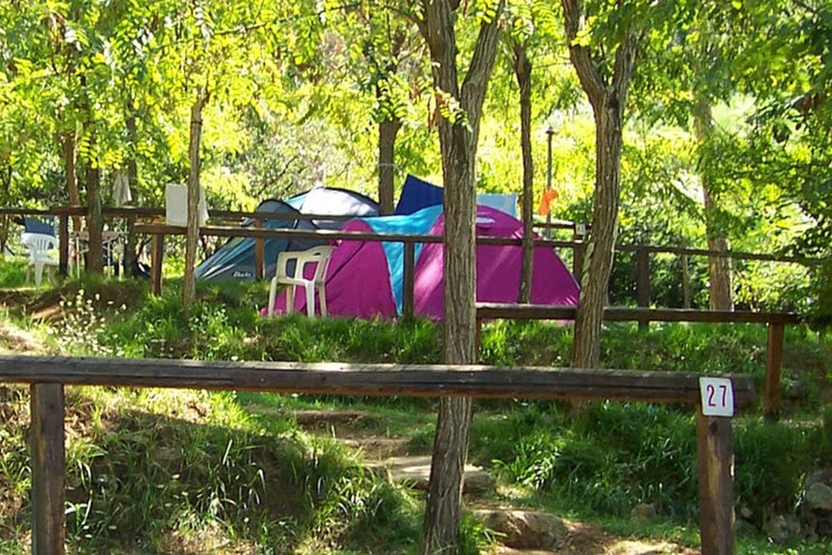 Camping La Sfinge campsite in Deiva Marina — photo 3