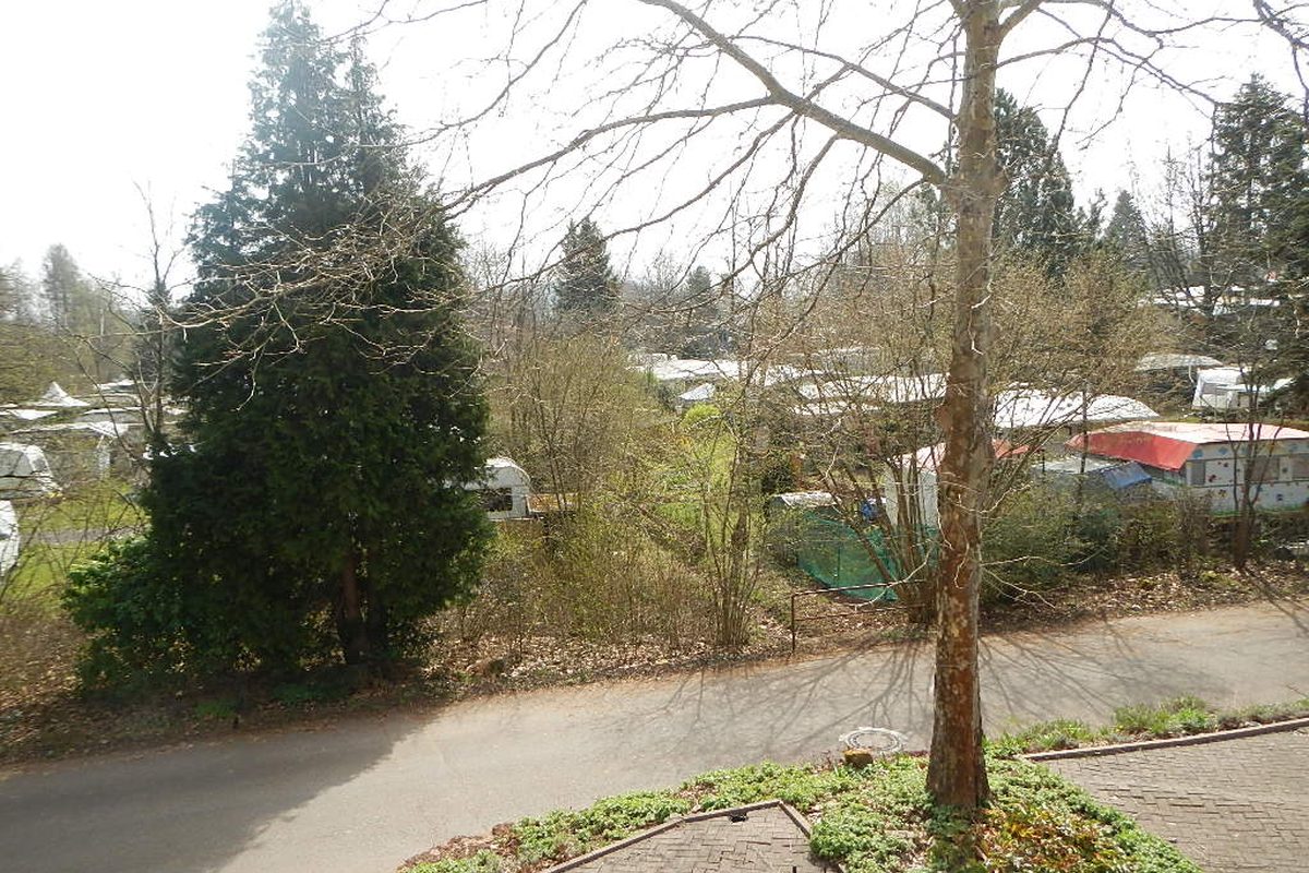 Camping Losheim am See campsite in Losheim — photo 5