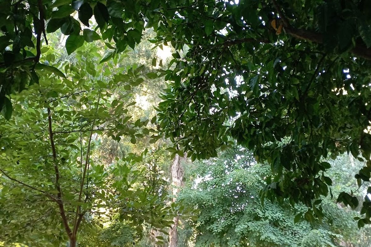 Photo of Camping Louisa