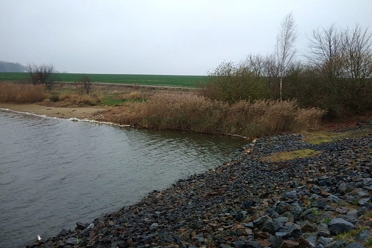 Photo of Camping Luxoase