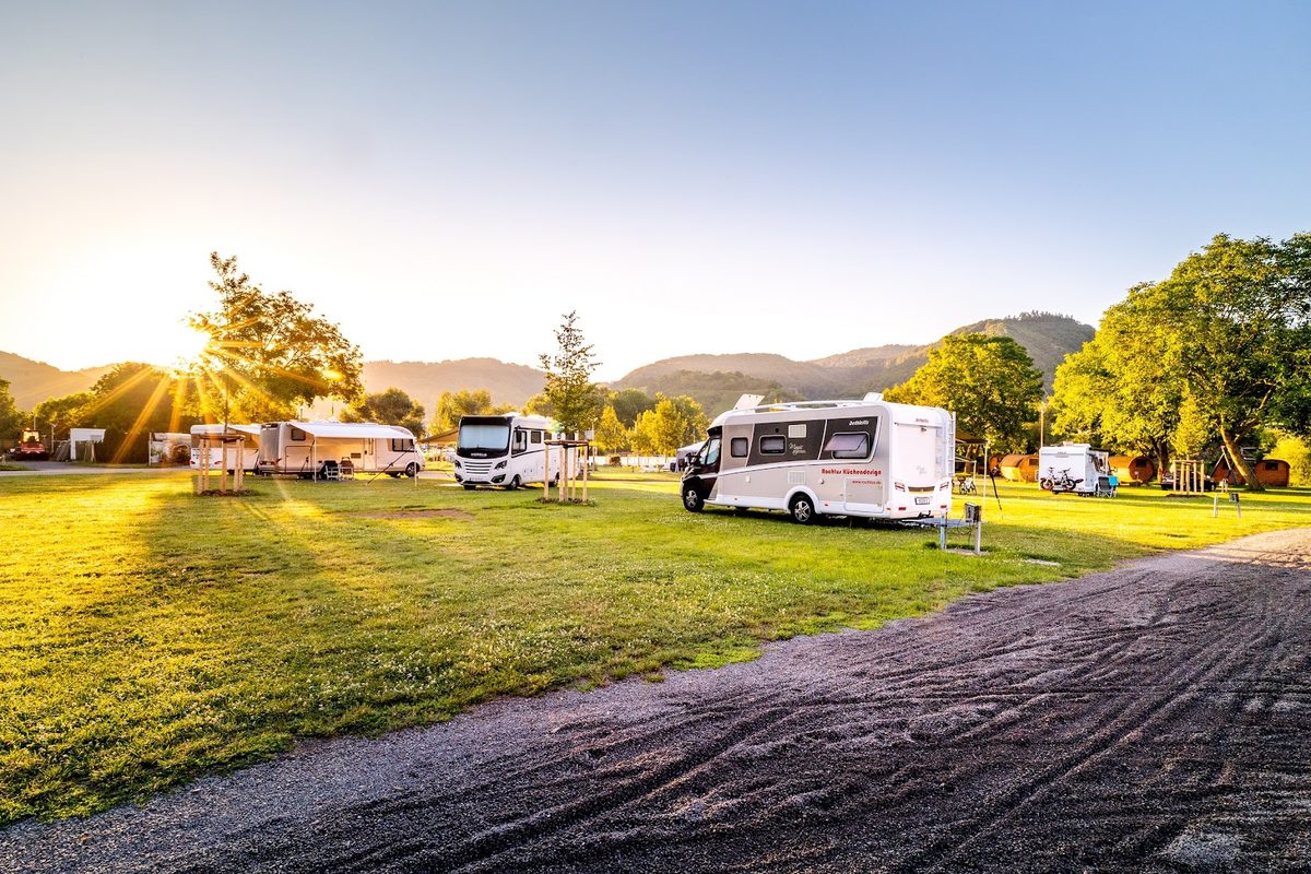 Camping Mosel-Islands campsite in Treis-Karden — photo 3